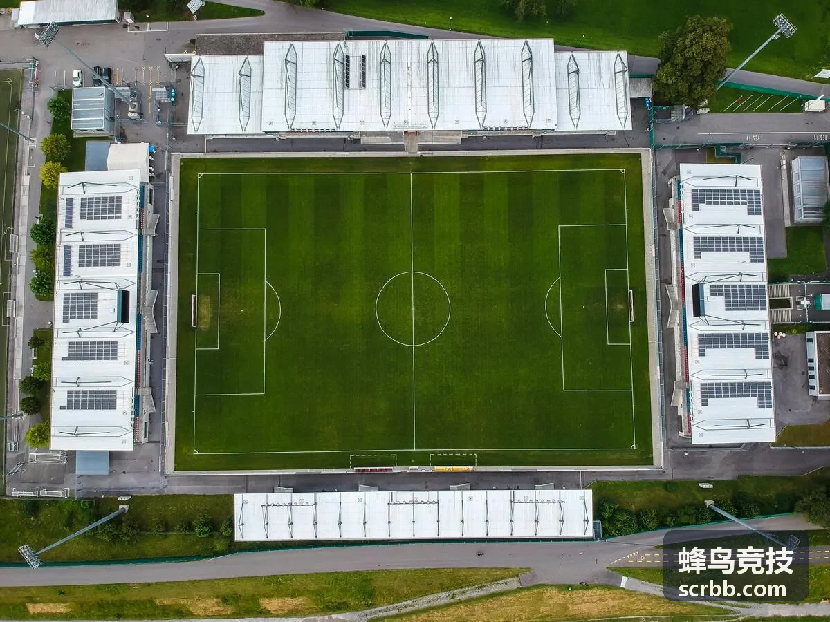 蜂鸟竞技揭示企业痛点